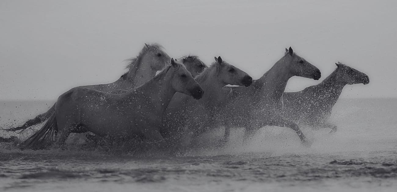 Cover Image for Top Power Verbs That Make Your Resume Stand Out